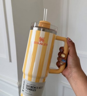 Oasis Cabana Gloss Stripe Quencher H2.0 Flowstate Stanley Tumbler  40 OZ  Butter