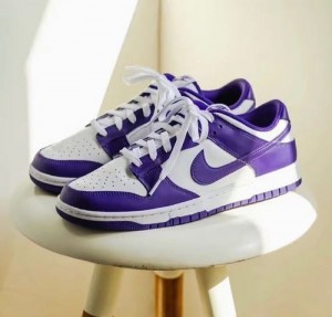 nik-E dunk low court purple with og box