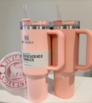 Stanley The Quencher H2 0 Flowstate Tumbler 40 OZ Peach