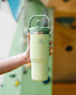 Stanley IceFlow Flip Straw Strips Tumbler 30 oz Light Green