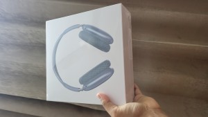 Airpods Max Grey