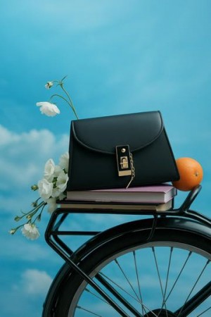 Liora Cute Handbag With Shoulder Strap Brown B104