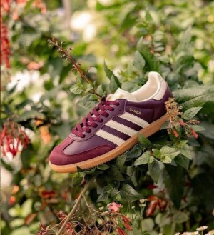 Adida s Samba OG Classic Maroon