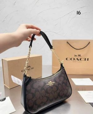 Coach_teri shoulder bag in signature canvas bag with box