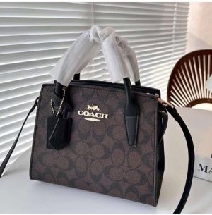 Coach_ diana sling bag premium quality with box
