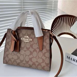 Coach_diana sling bag premium quality with box