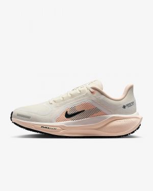 Nik_e Air Zoom Pegasus 41 GORE TEX Sail Guava Ice Women Shoes