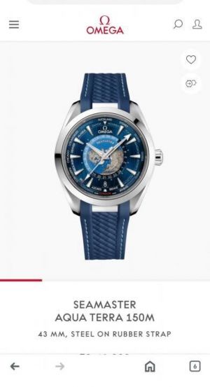 Omeg_ Seamaster Aqua Terra Watch 