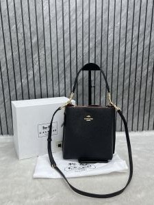 Coach_Mollie_22_Bucket_Bag_With_OriginalBox