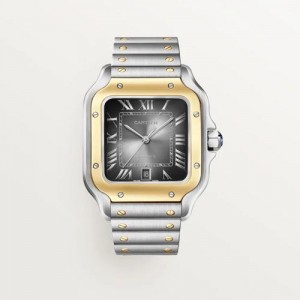 CARTIER DE SANTOS DUAL TONE PREMIUM AUTOMATIC
