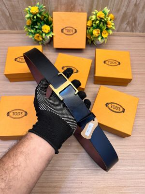 TODS_BELT_TD3