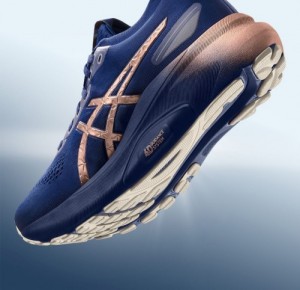 Asicss Gel Kayano 31 Platinum
