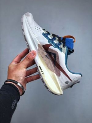 Nik_e  Pegasus Trail 5 MULTI Men Shoes