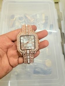 Carie_r Santos Diamond
