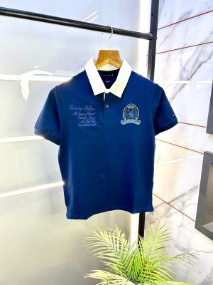Tommy_Hilfiger Blue Polo Premium Collar Neck T-shirt F2669-BU