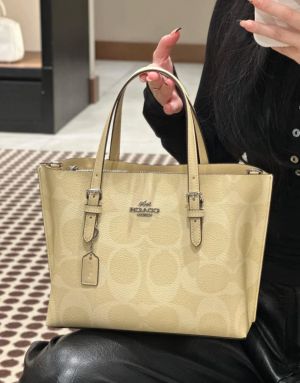 Coach_Mollie_25_Premium_Limited_Edition_With_OriginalPacking
