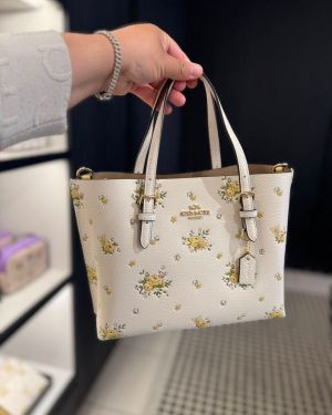 Coach_Mollie_25_Premium_Limited_Edition_With_OriginalPacking