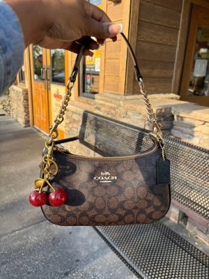 _Coach_teri_shoulder_bag__with_og_box__(6106-brown)