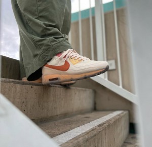 Nik e Airmax 90 terrascape fuel orange
