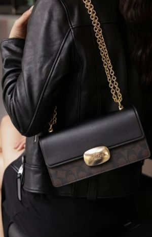 _Coach_eliza_flap_crossbody_bag_with_og_double_box