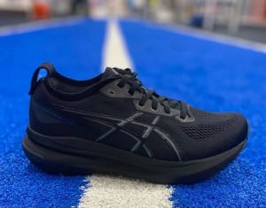 Asicss Gel Kayano 31