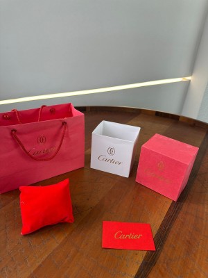 CARTIE R KIT WITH CARRY BAG