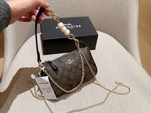 Coach_nolita daisy applique bag with box