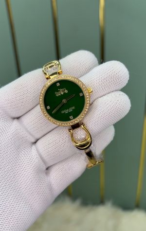 _Coach-Signature_Gold-Green_7