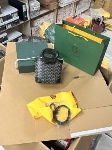 Goyard_goyardine_beluga_mini_bag_with_ogbox_carrybag_etc_253