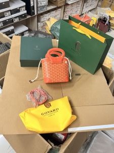 Goyard_goyardine_beluga_mini_bag_with_ogbox_carrybag_etc_255