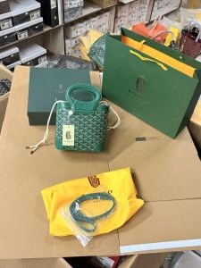Goyard_goyardine_beluga_mini_bag_with_ogbox_carrybag_etc_256