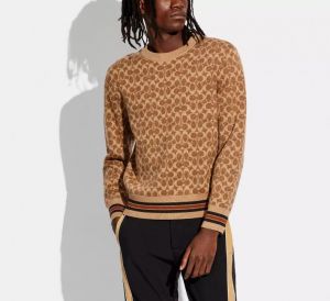 Coac h Beige Imported Knitted Premium Pull Over