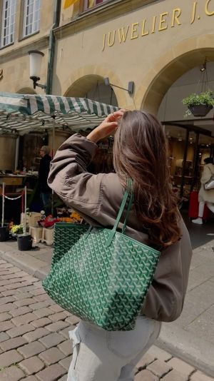 Goyard_saint_louis_pm_totebag_with_wallet_dustbag_etc_279