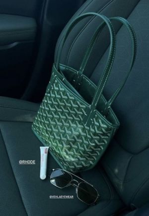 Goyard_anjou_mini_totebag_with_wallet_dustbag_etc_270