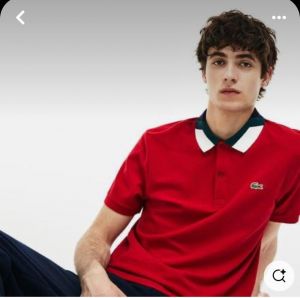 Lacost e Red Premium Cotton Pique fabric Polo Tshirt with Collar Design and Embroidered Logo 3169