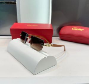 Cartie r Gold-Brown Luxury Shade 2322