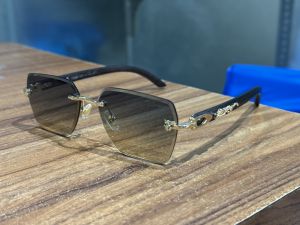 Cartie r Gold Multi Jaguar Luxury Shades 3075