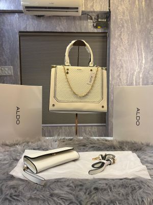 Aldo_Bone_CATYLA_Color_Block_Medium_Tote_with_box_5802