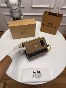 Coach_klare_signature_canvas_shoulderbag_with_ogbox_carrybag_346