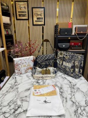 Christian_Dior_Saddle_CD_With_Box_And_Dust_Bag_Including_CarryBag_(Blue)