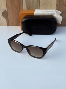 Louis_vuitton_2900_brown