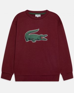 Lacost e Premium Sweatshirt Store Article (Maroon) 