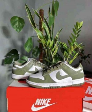 Nikee Sb Dunk Low Medium Olive