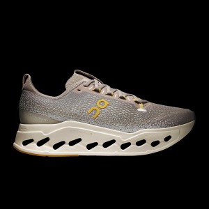 On Cloudsurfer Max Cinder Pelican