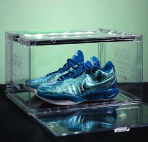NIKEE LEBRON 21 ABALONE BASKETBALL SERIES