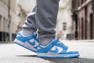 Dunk low coast University Blue 517