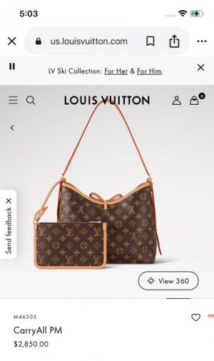 Louis_vuitton carry All PM with box 656