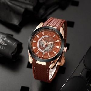 Omeg_a Seamaster Aqua Terra Automatic