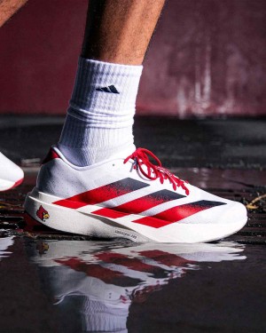 adidass Adizero Evo SL Louisville Cardinals