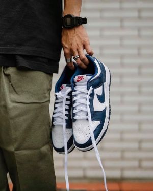 Nik E Sb Dunk Valerian Blue mens